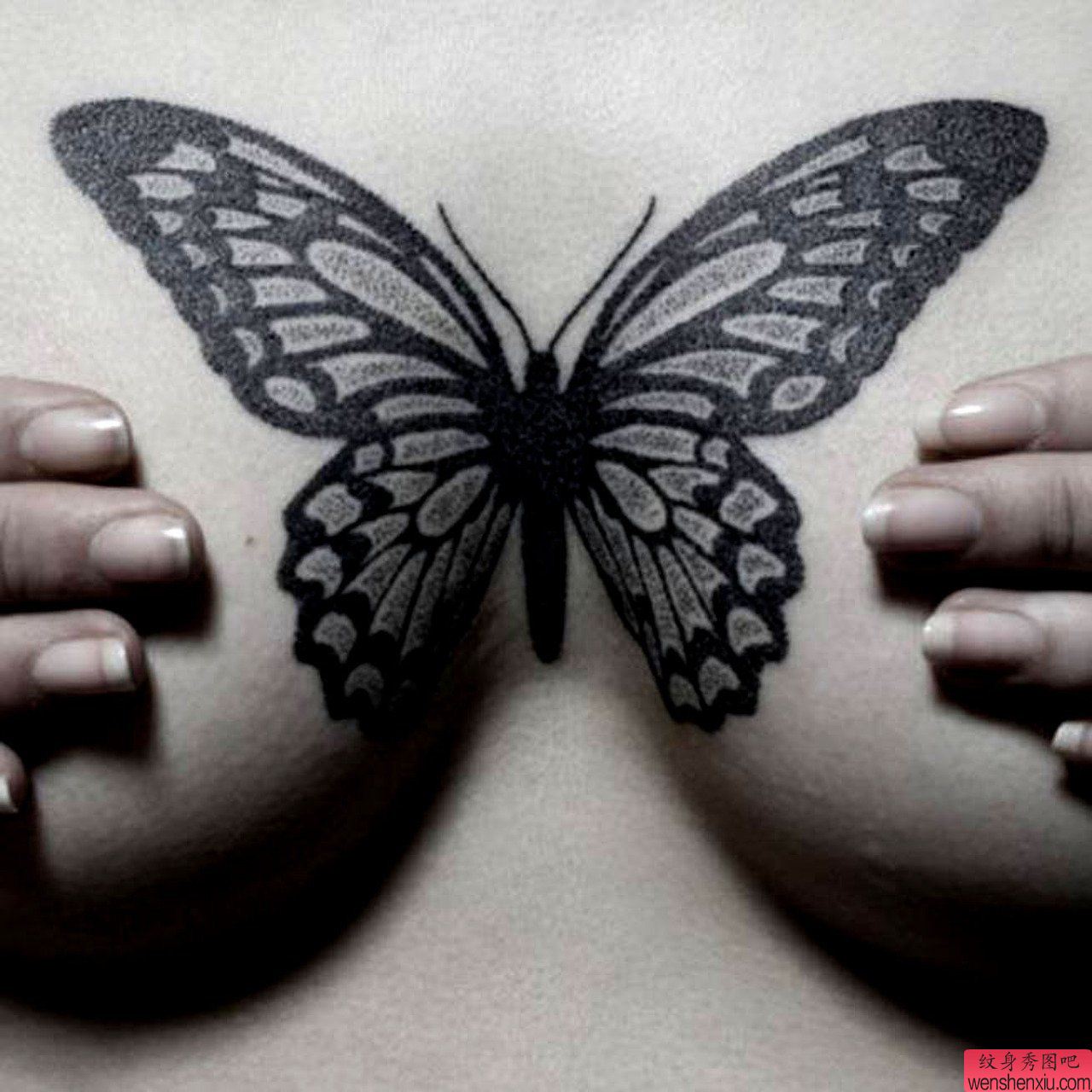 Бабочки Перми Секс