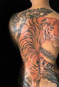 Full of traditional tiger tattoo pattern