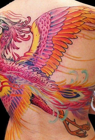 Pretty colorful phoenix tattoos on the back of girls