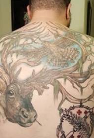 Boys full of painted creative elk birds and dream catcher tattoo pictures