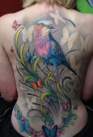 Djevojka lijepa tetovaža ptica leptira