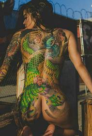 European and American women full of colored phoenix tattoo designs