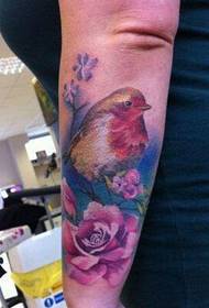 Gyönyörű és gyönyörű színes madár a karján, szarka virágmintás