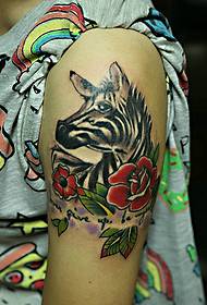 квітуча красуня на великій руці барвисті татуювання тварин 19062-рука кольоровий череп татуювання візерунок