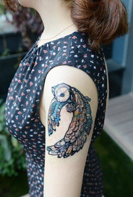 female arm colored owl Tattoo pattern