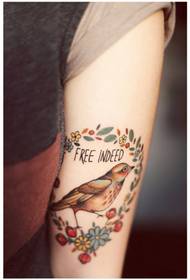 meninas braço pássaro pequena flor cor tatuagem