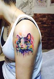 ສາວແຂນແຂນທາສີ tattoo ງາມ kitten