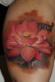 Cvijet lotosa u punom cvatu na velikoj ruci