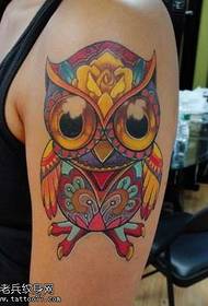 'auʻau o le lulu owl