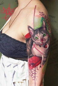 female arm color cat tattoo pattern