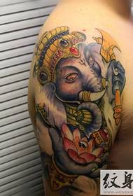 elephantis magnum traditional masculinum brachium figuras (XIX)CMLXXIX - skull tattoo brachium recta ratio