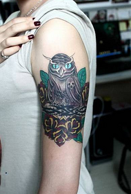 Owl Europe and America tattoo pattern