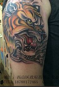 Tiger classic tattoo on the arm