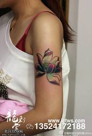 Arms red lotus tattoo pattern