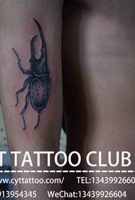 Personalized beetle arm tattoo