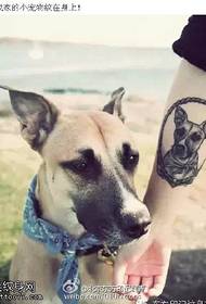 Model de tatuaj pentru animale de companie pe corp