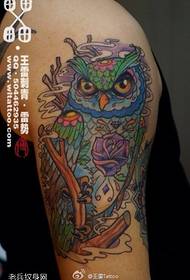 Colorful owl tattoo pattern