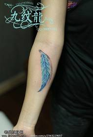 Simple and fresh feather tattoo pattern