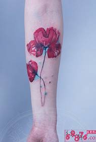 Delicate poppies arm tattoo pictures