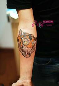可爱老虎头像手臂纹身图片