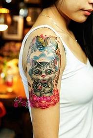 Menina braço bonito gato bonito tatuagem imagens