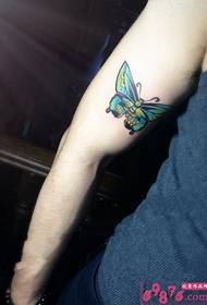 Color butterfly moth arm tattoo picture