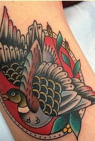 Módní rameno krásná barva vlaštovka tetování vzor obrázek