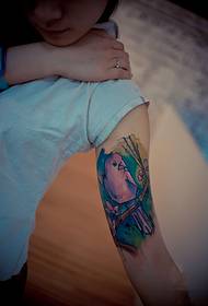 Personality watercolor bird arm tattoo picture