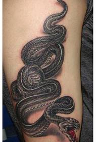 Imagen de tatuaje de serpiente guapo guapo de moda clásica de brazo