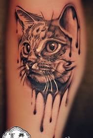हात मांजरी टॅटू चित्र