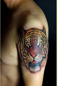 Moda gizonezkoen besoa nortasun tigre burua tatuaje eredua