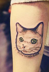 Beautiful and beautiful cat tattoo picture on the arm