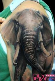 Photo d'éléphant dans le bras