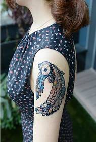 Bella immagine variopinta sembrante del tatuaggio del gufo del braccio femminile