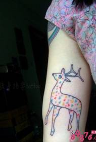 Girl's arm can be seen, little sika deer tattoo pattern pictures