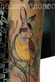 Личност рака убава зајак тетоважа шема на сликата
