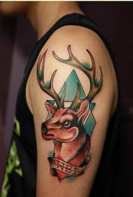Personality arm fashion good looking color antelope tattoo pattern picture