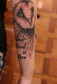 Recommend an arm owl tattoo pattern picture