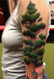 Personality beauty arm on 3D tattoo pine tattoo pattern picture