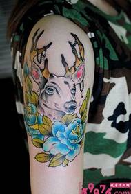 Color elk arm tattoo picture