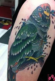 Color parrot arm tattoo picture
