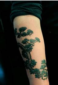 Beautiful arm personality fashion good looking pine tattoo pattern picture