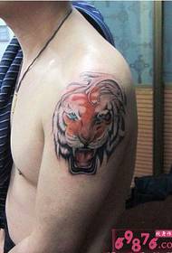 Man arm wild tiger head tattoo picture