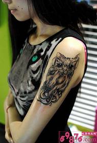 Personality chapter cat arm tattoo picture