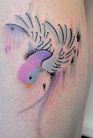Fashion female arm beautiful colored hummingbird tattoo pattern picture