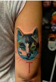 Գեղեցիկ տեսք ունեցող գունագեղ կատու avatar դաջվածքի նկարը բազուկին