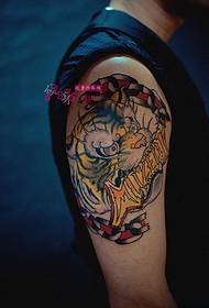 Dominējošs krāsu tīģera rokas tetovējums attēls