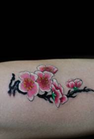 Beautiful and beautiful colorful plum tattoo picture on the arm