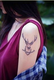 Fashion female arm black ash antelope letter tattoo picture picture