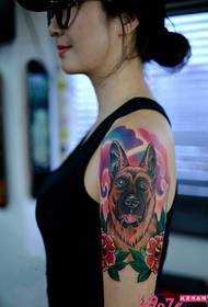 Slika ljepote njemačke crne leđa pasa tetovaža slika